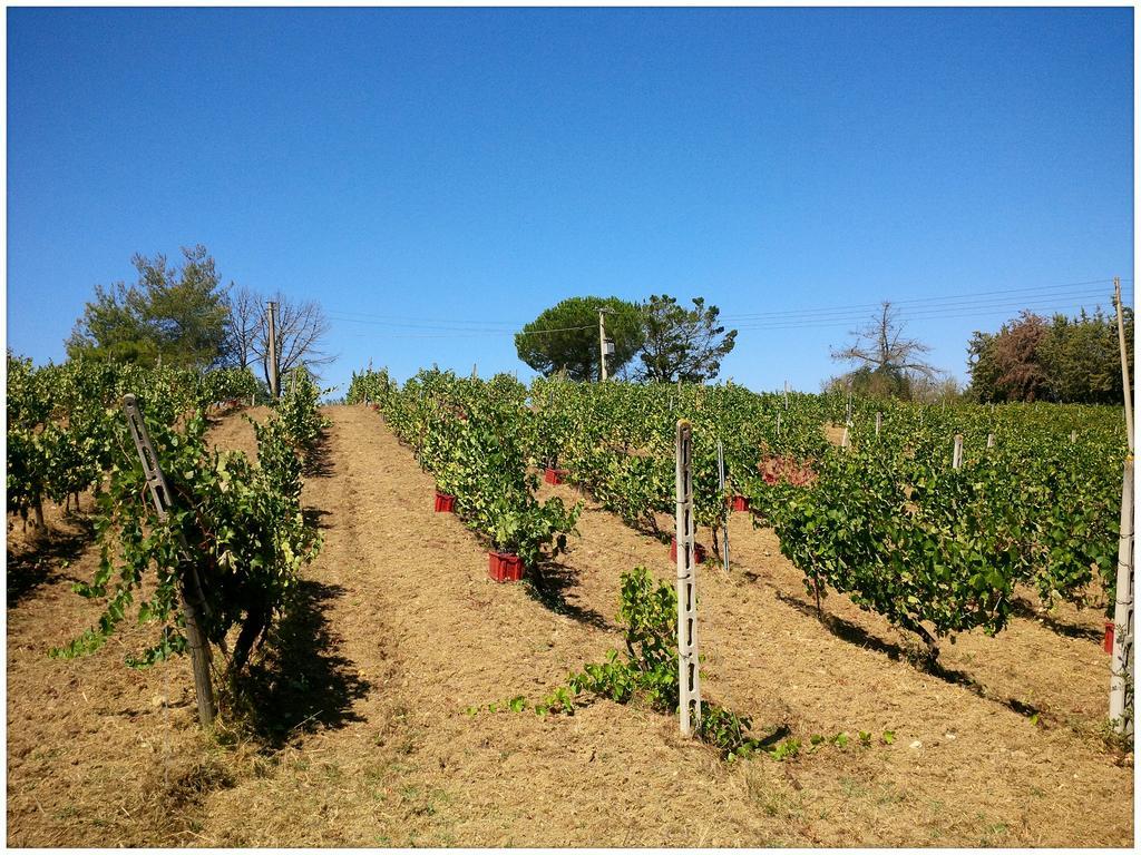 Agriturismo San Giusto Монтияно Экстерьер фото