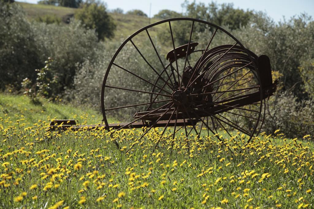 Agriturismo San Giusto Монтияно Экстерьер фото